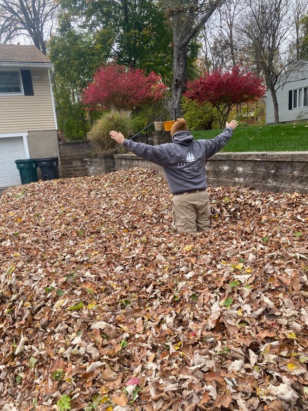 Lawn Maintenance