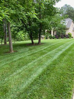 Lawn Care