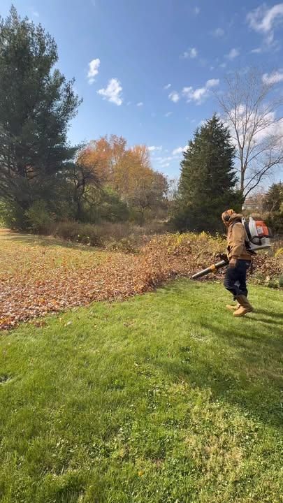 Leaf Clean Up