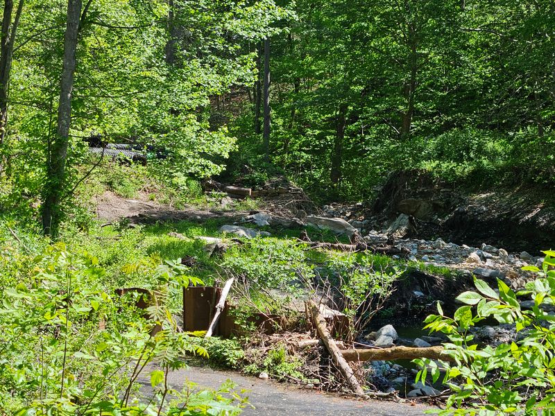 Guski pond Dam