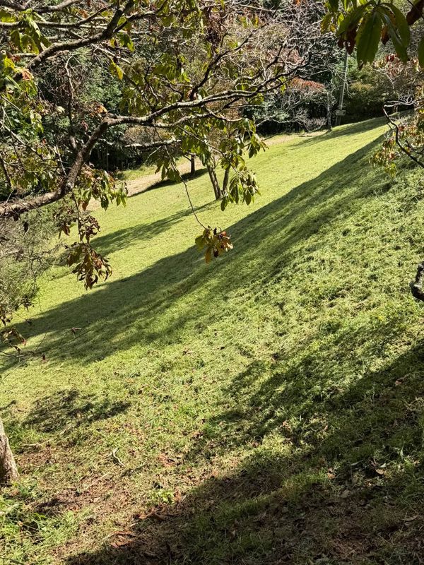 Lawn Maintenance
