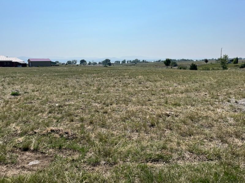 Field Mowing and Brush Hogging