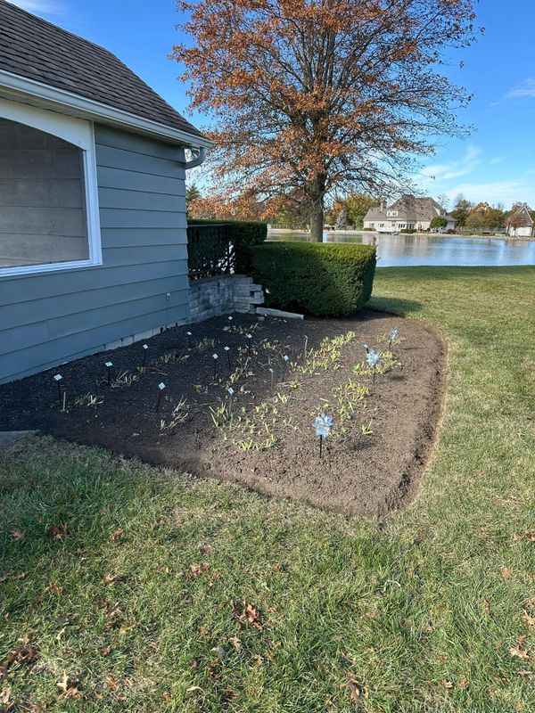 Landscape design