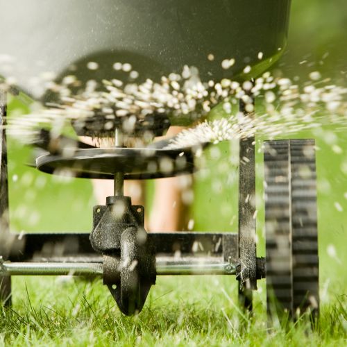 Over-seeding