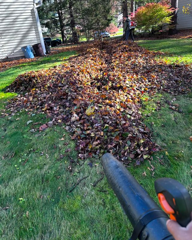 Leaf Removal