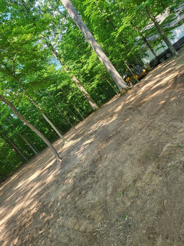 Land Clearing