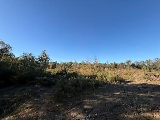 Land Clearing
