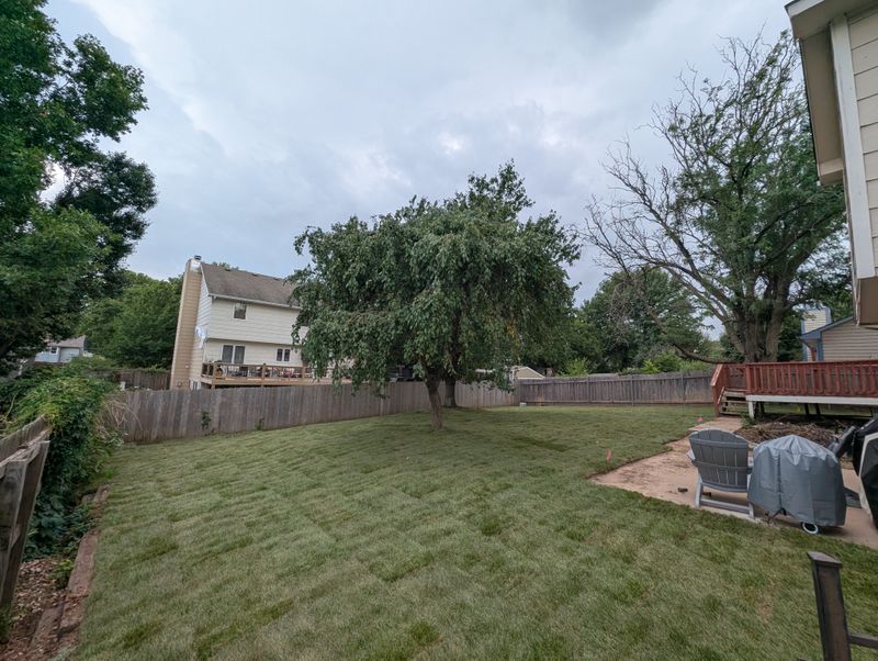 Sod Installation