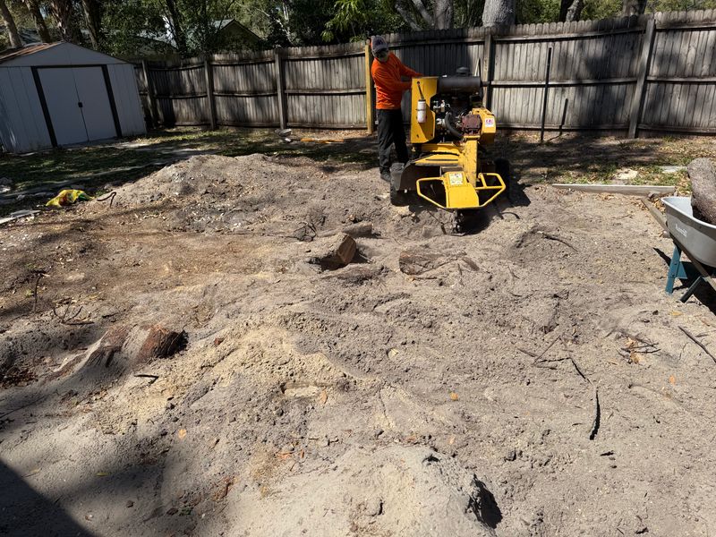 Tree Removal