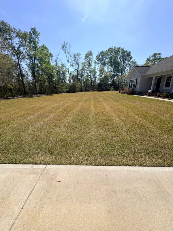Lawn Maintenance