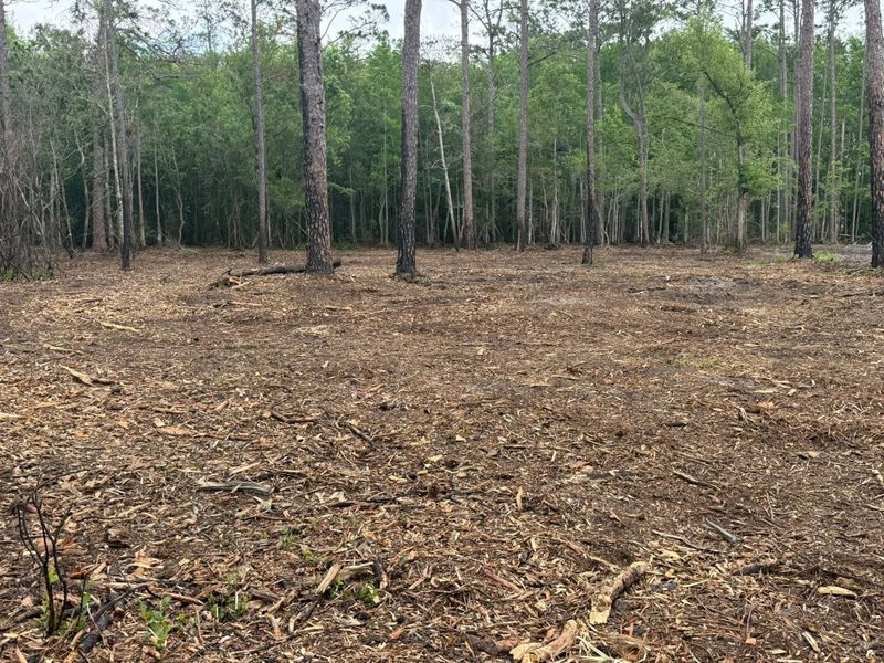 Land Clearing