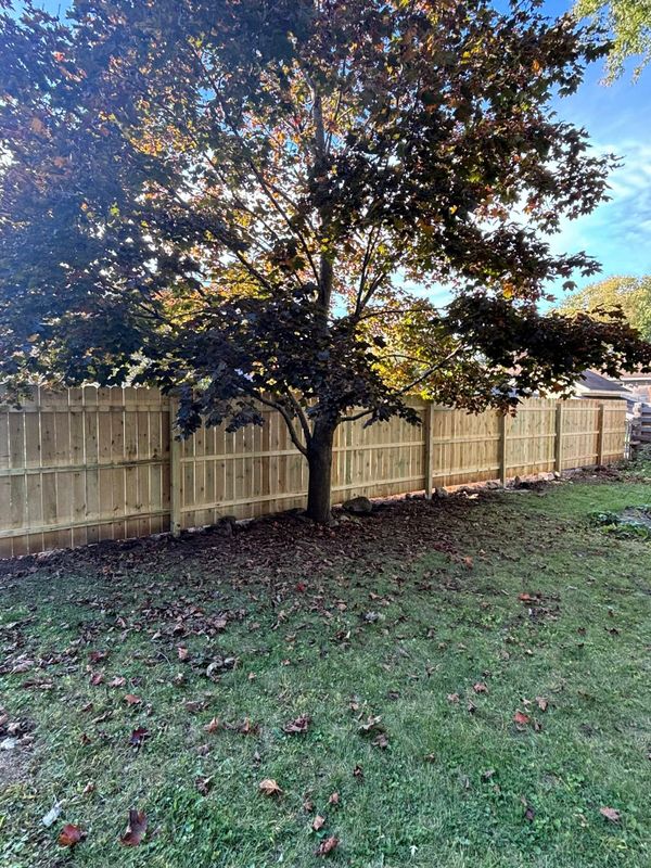 Fence Installation