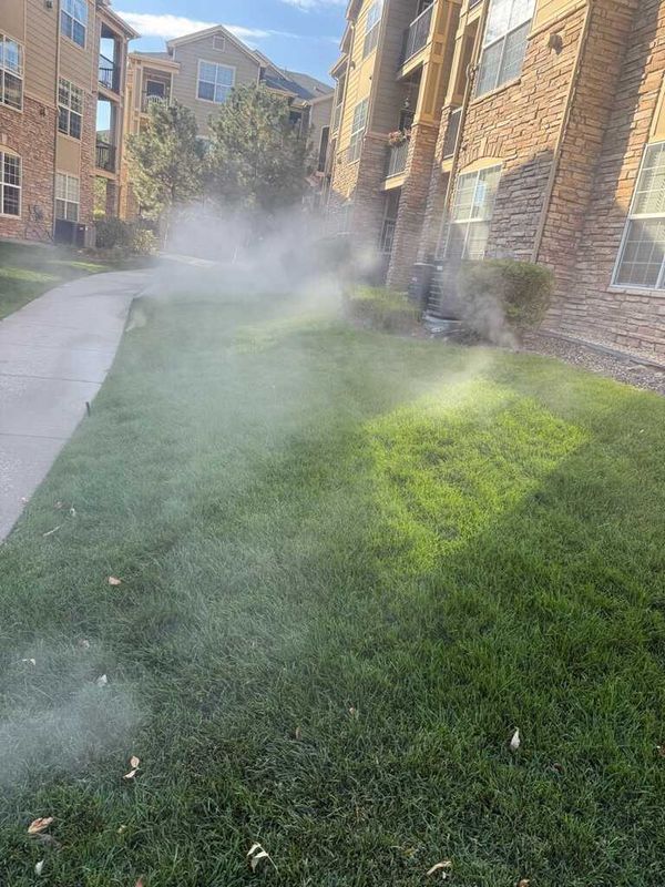 Lawn Care