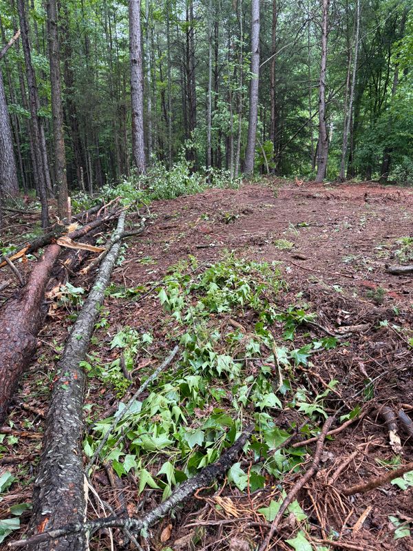 Land Clearing