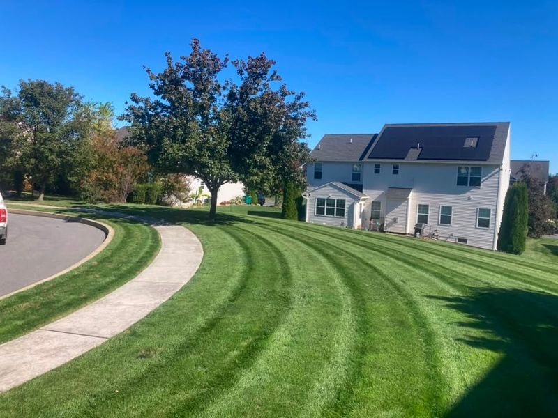 Lawn Maintenance
