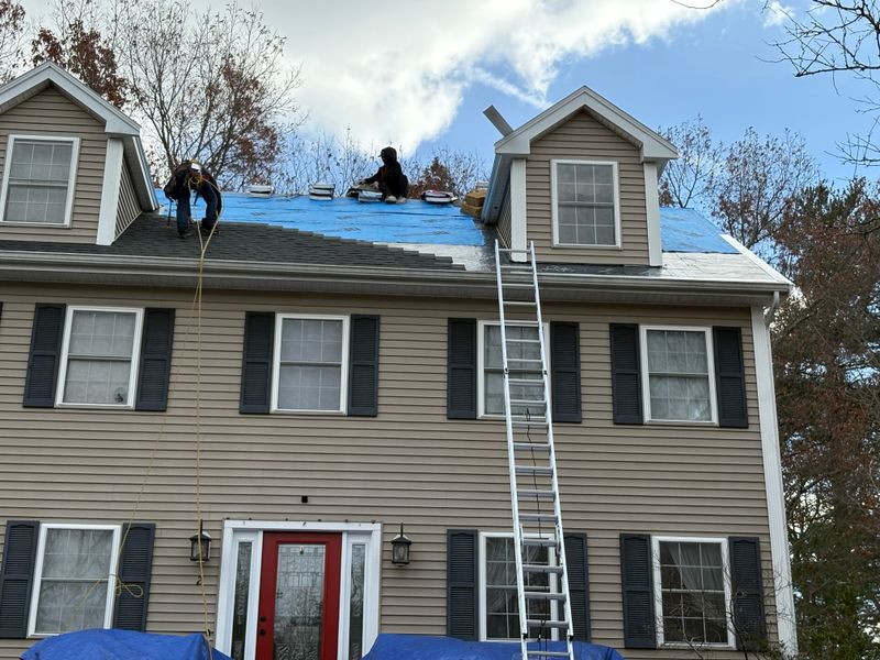 Roofing Repairs