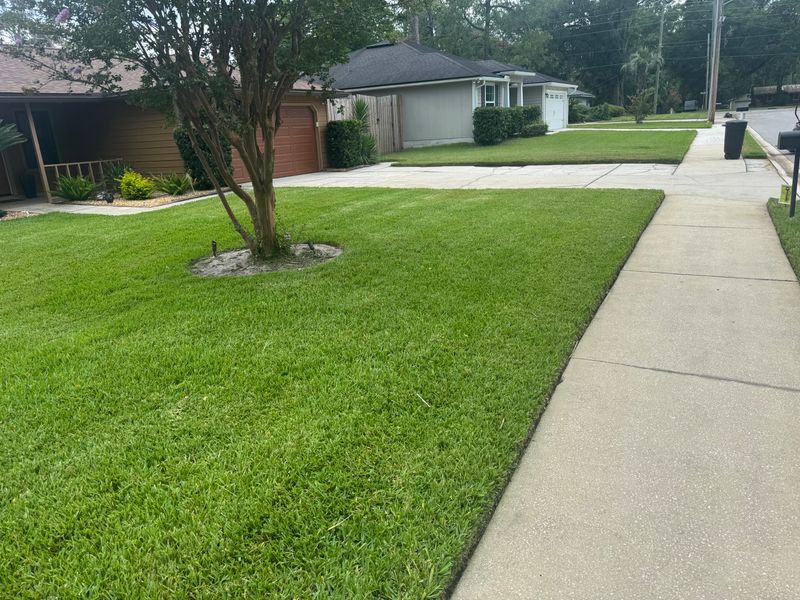 Lawn Care