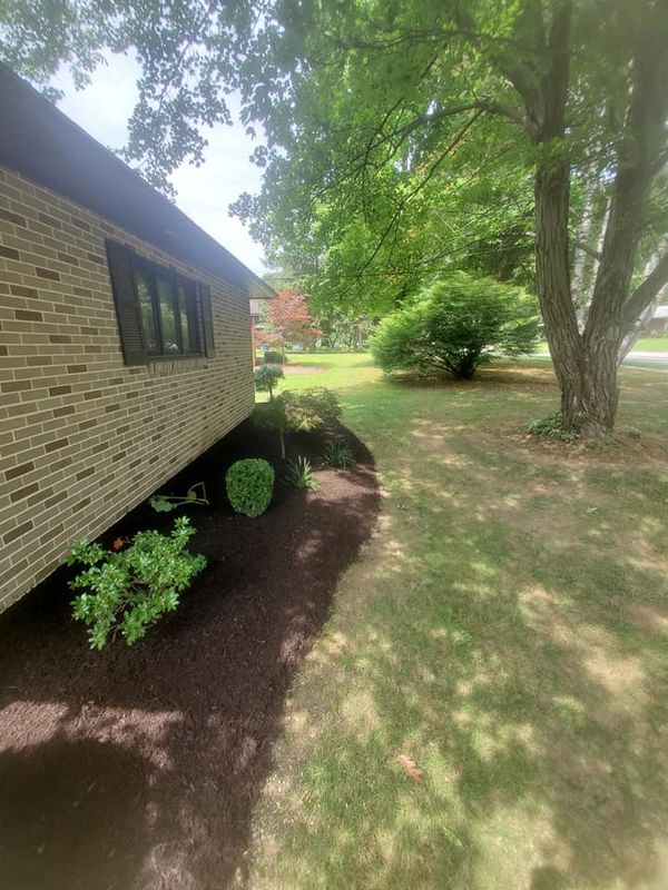 Mulch Bed Installation and Renovation