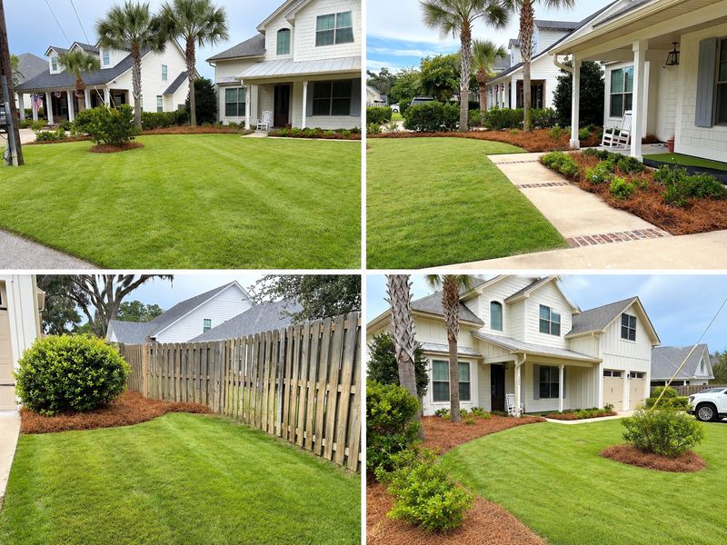 Lawn Maintenance