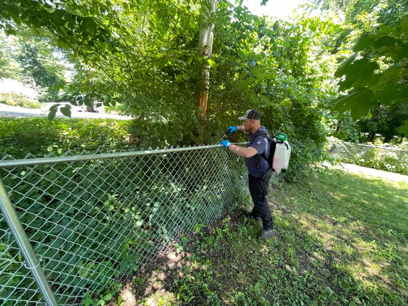 Weed Control