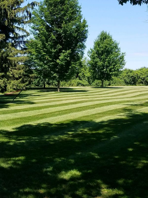 Garden Maintenance