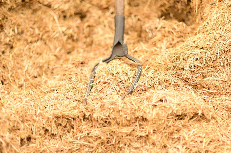 Mulch Installation