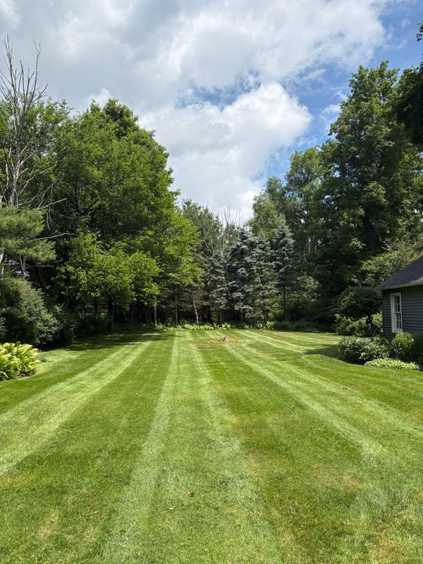 Lawn Maintenance