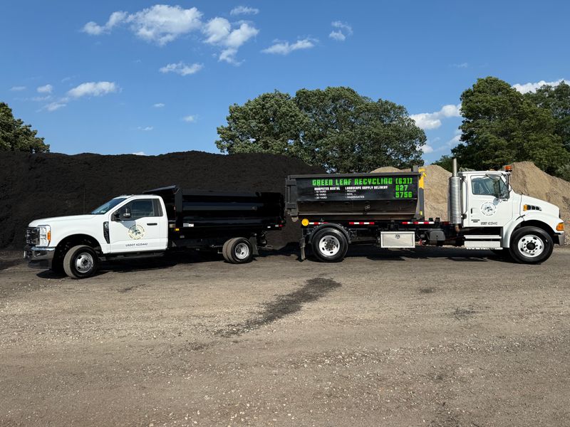 Dumpster Rentals
