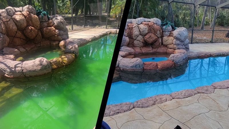 Pool Cleaning