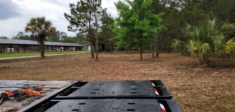 Land Clearing gallery