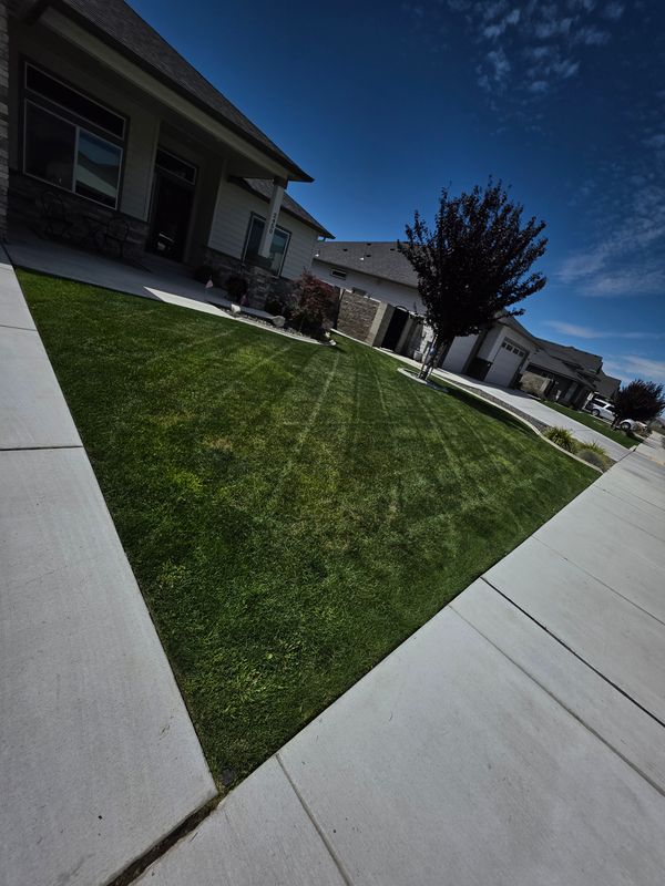 Lawn Mowing
