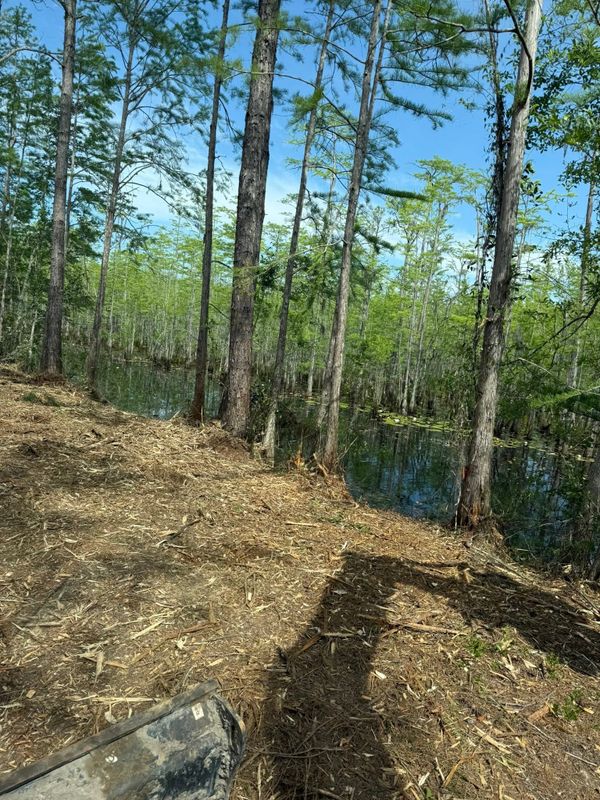 Land Clearing
