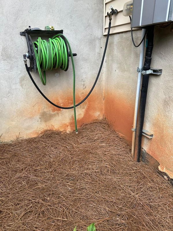 Stain and Graffiti Removal