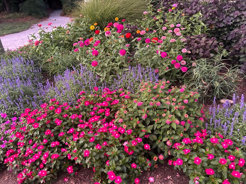 Shrub and Plant Trimming