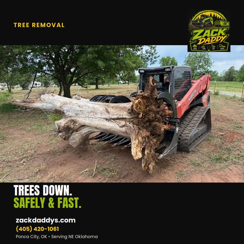 Tree Removal
