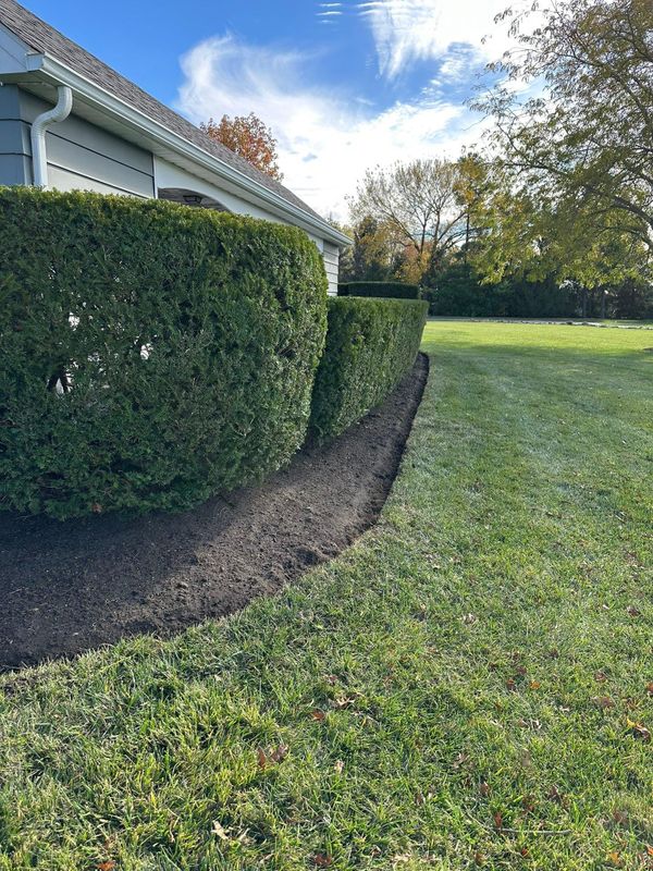 Landscape design