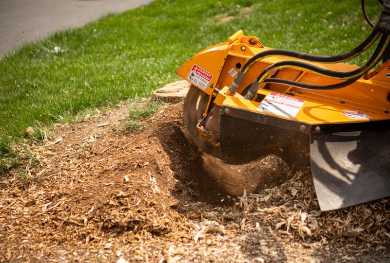 Stump Removal