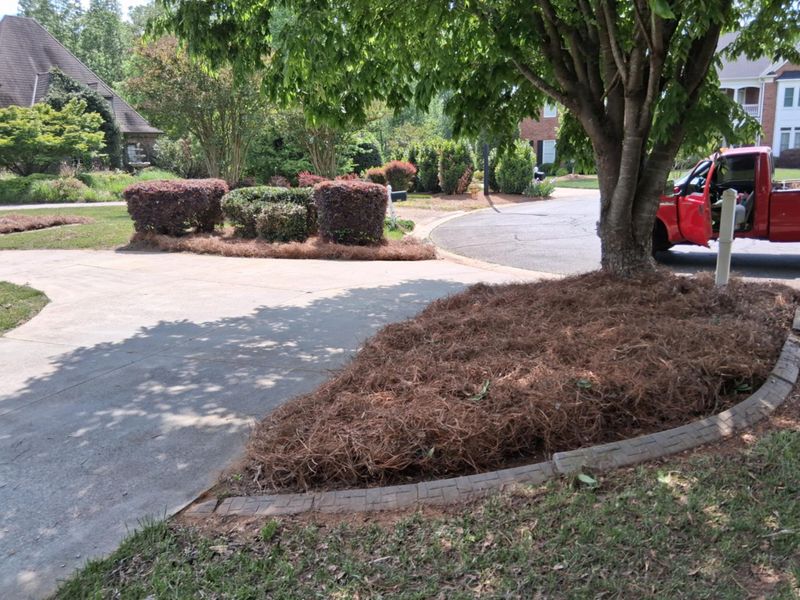 Mulch Installation