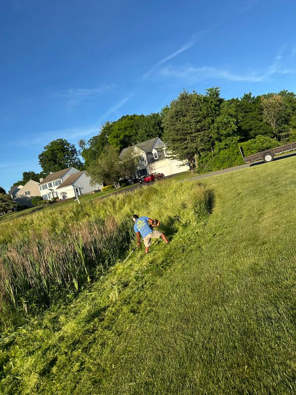 Mowing
