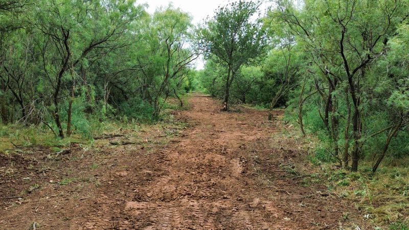 Wichita Falls Land Clearing Job