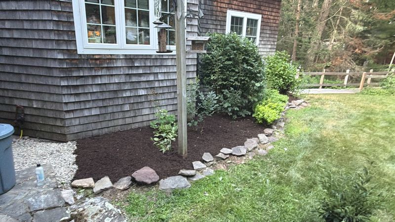 Landscape Design