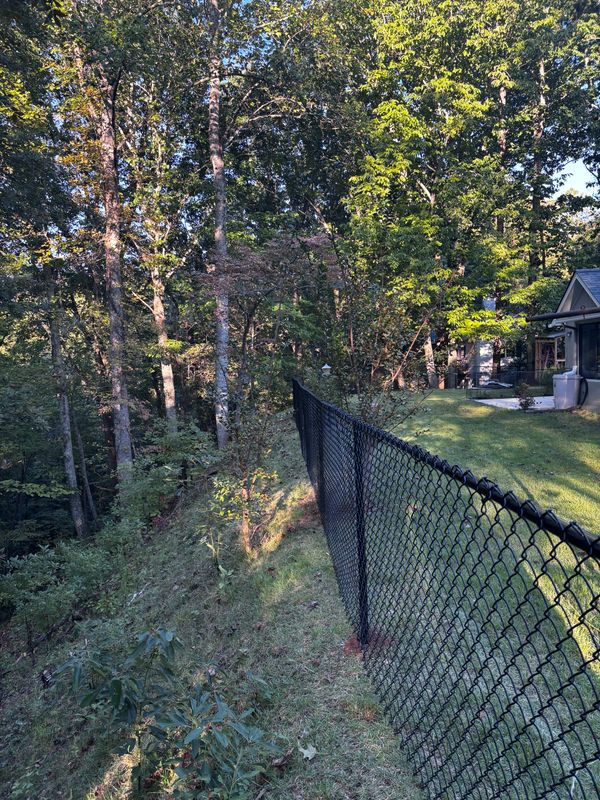 Chainlink Fences