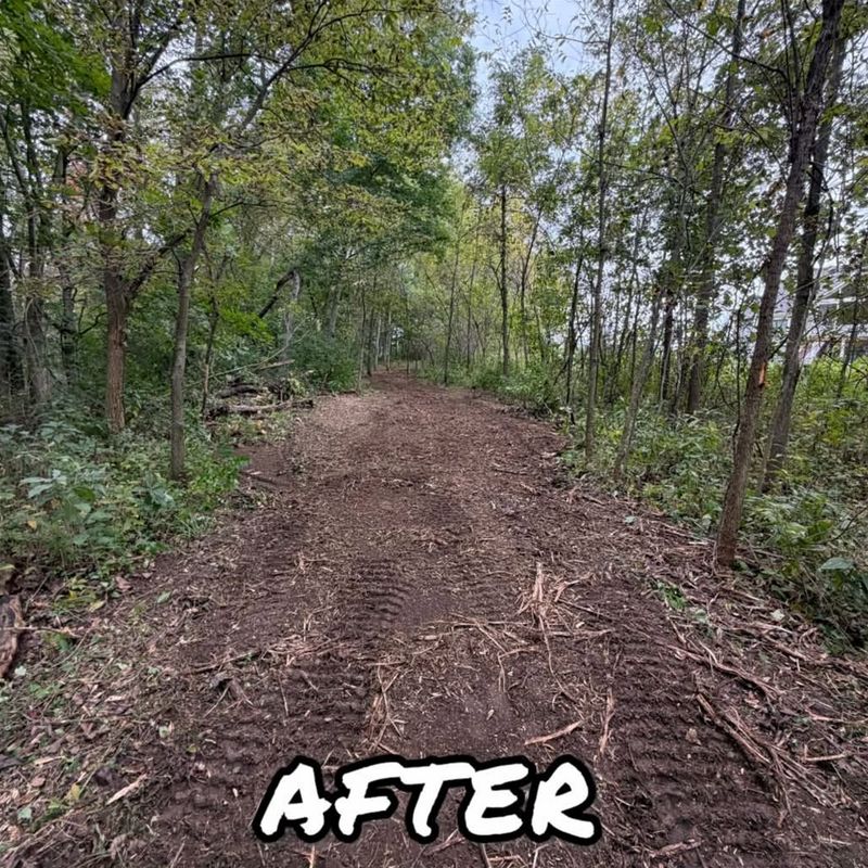 Land Clearing