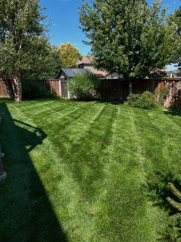 Lawn Maintenance