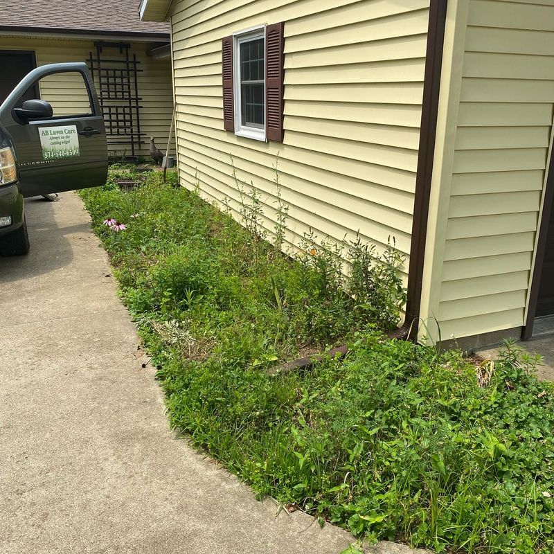 Mulch Installation