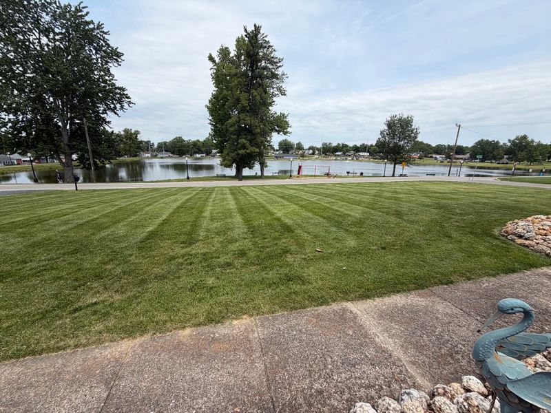 Lawn Fertilization
