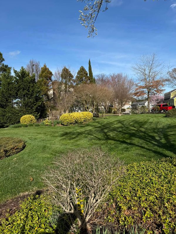 Lawn Mowing