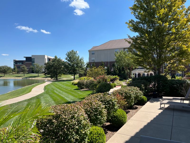 Commercial Landscape Maintenance 