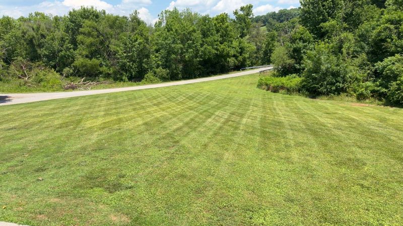 Lawn Maintenance