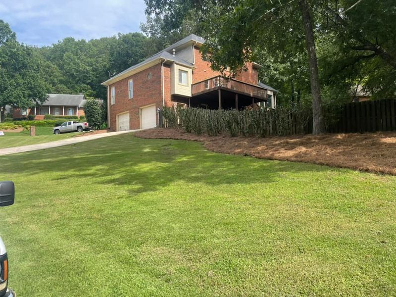 Full Lawn Services